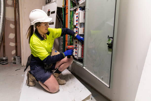 Best Electric Panel Repair  in Cane Savannah, SC