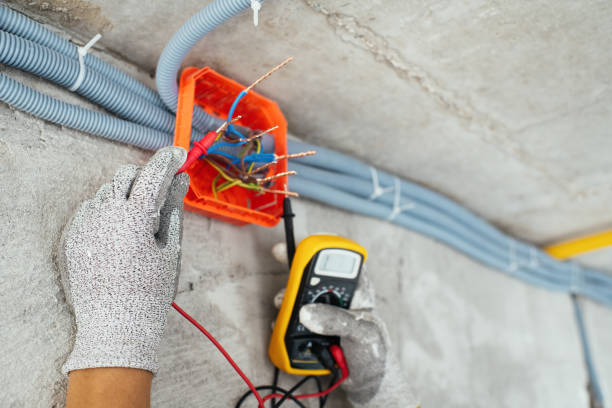 Best Electric Panel Repair  in Cane Savannah, SC